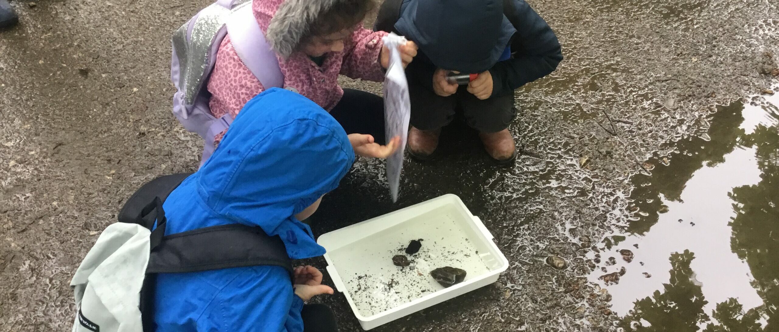 Outdoor learning Outdoor learning