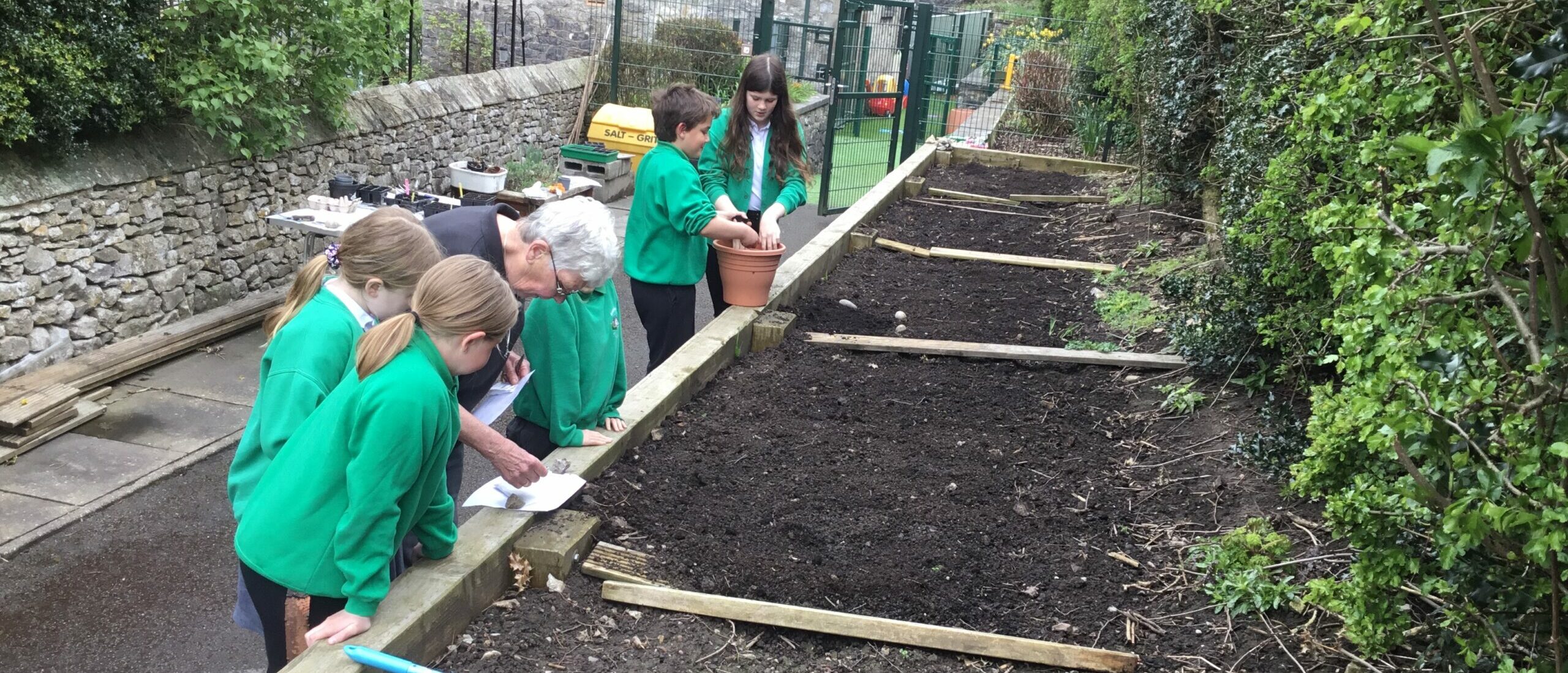 Growing Vegetables Growing Vegetables