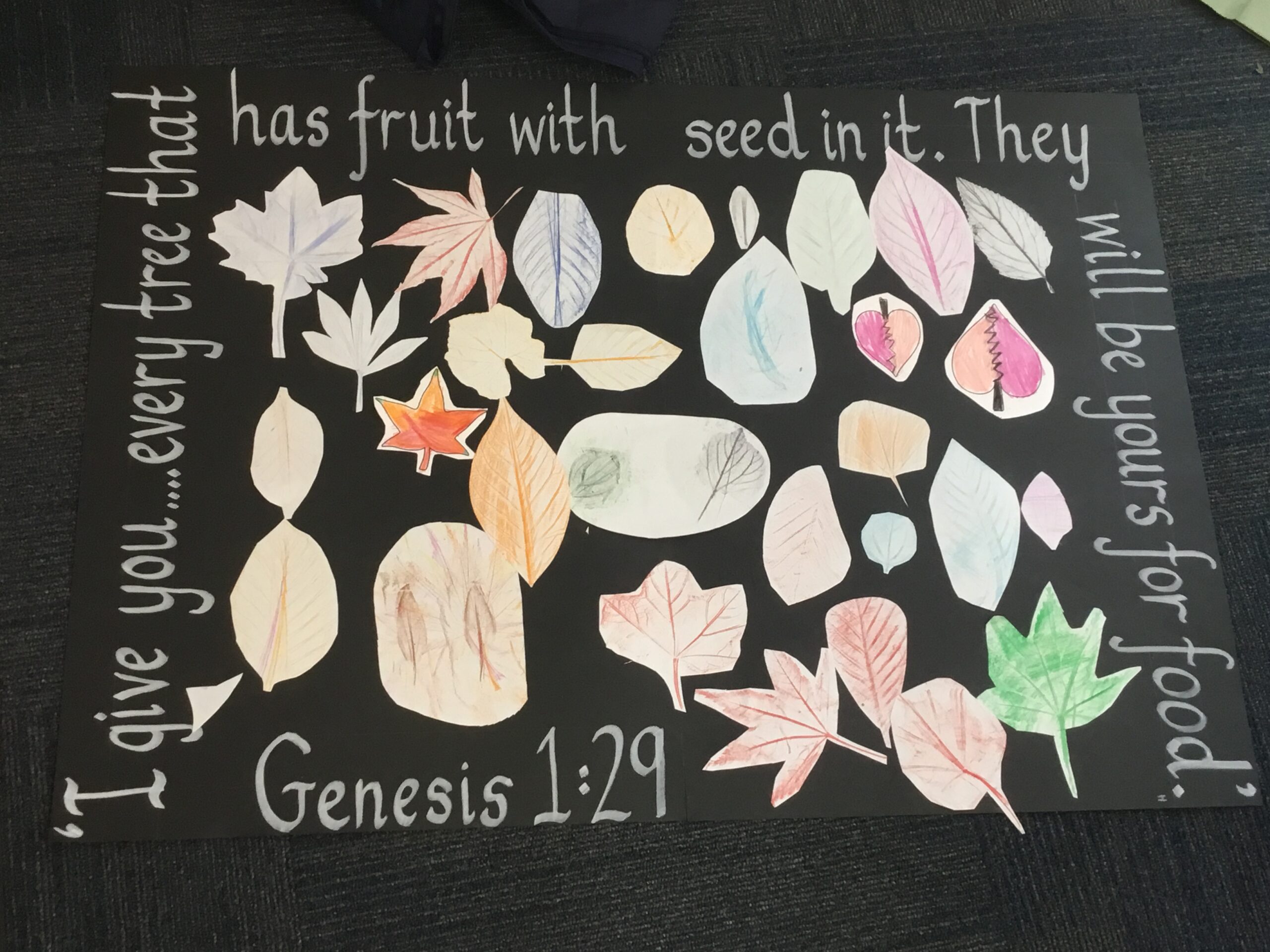 Schools Together – Good Fruit Schools Together – Good Fruit